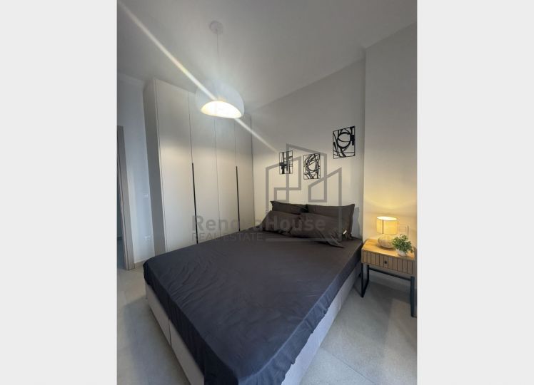 APPARTMENT IN DOWN TOWN 